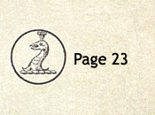 Sowerby pattern book IX 1885 Page 23