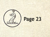 Sowerby pattern book IX 1885 Page 23