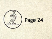 Sowerby pattern book IX 1885 Page 24